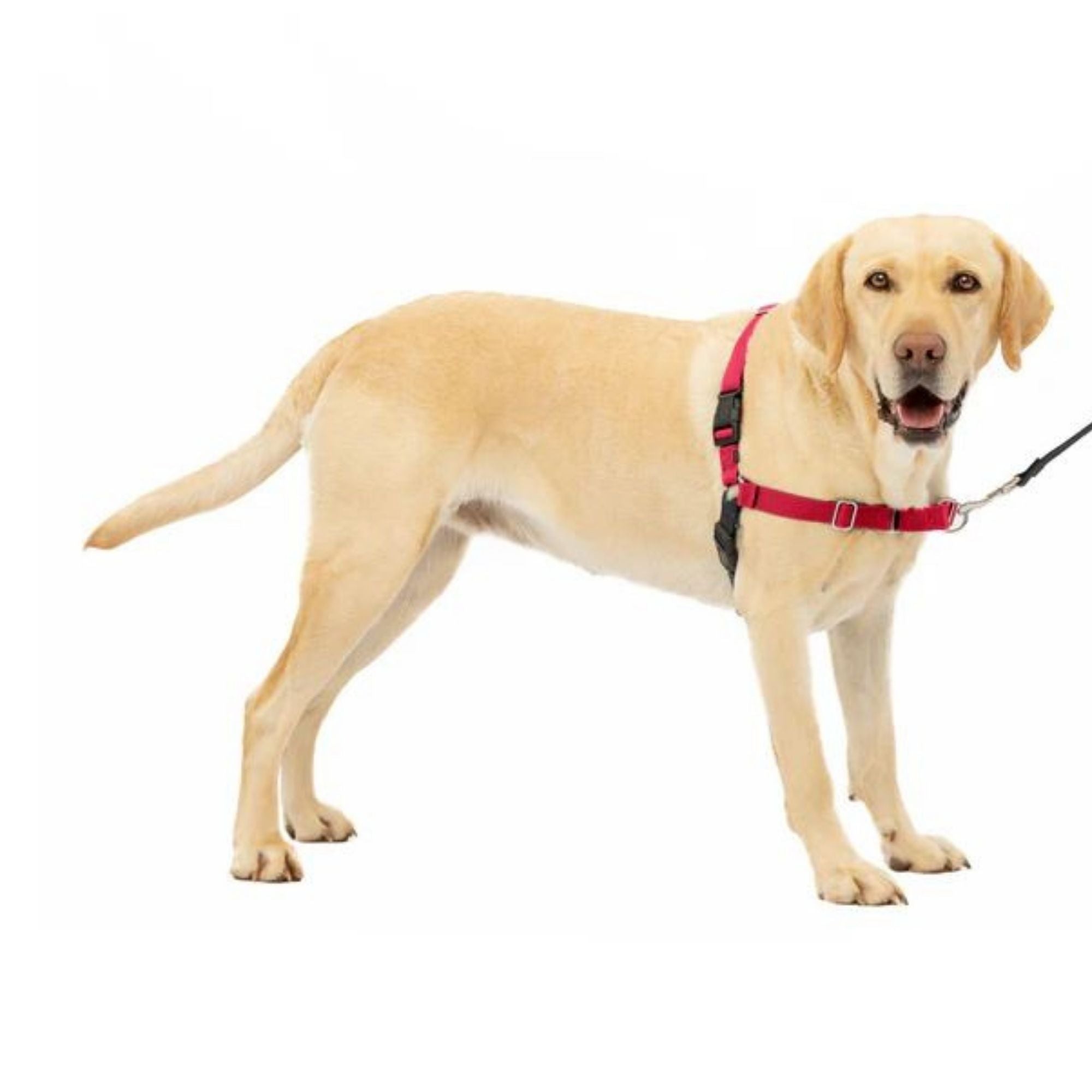 Petsafe Dog Easy Walk Harness Red Large