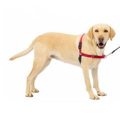 Petsafe Dog Easy Walk Harness Red Large