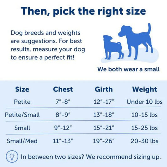 Petsafe Dog Easy Walk Harness Blue Small
