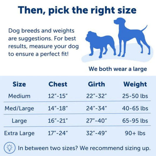 Petsafe Dog Easy Walk Harness Blue Medium