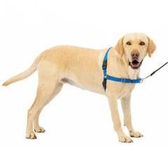 Petsafe Dog Easy Walk Harness Blue Large