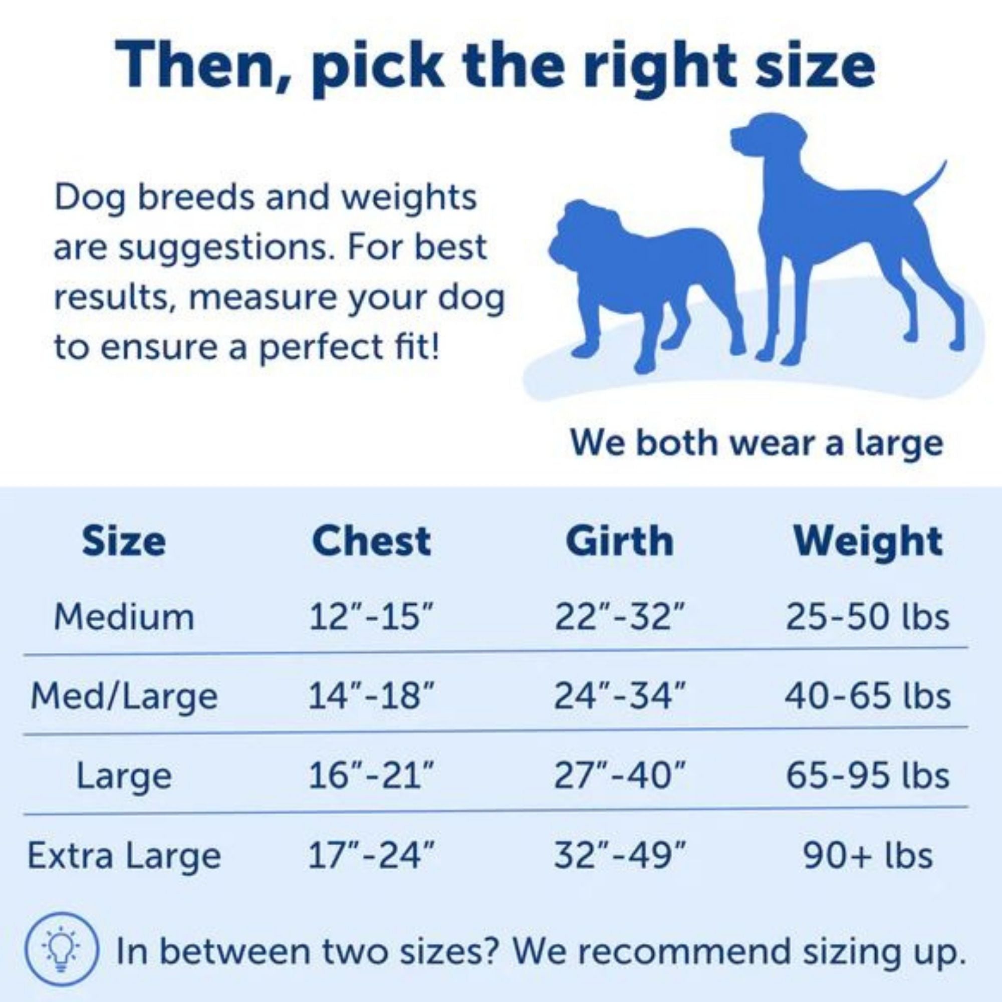 Petsafe Dog Easy Walk Harness Blue Large