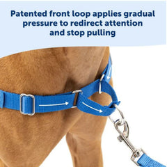 Petsafe Dog Easy Walk Harness Blue Large