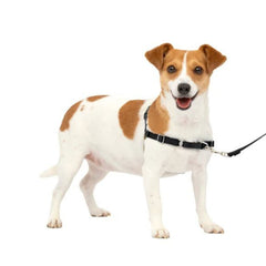Petsafe Dog Easy Walk Harness Black Small