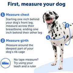 Petsafe Dog Easy Walk Harness Black Small