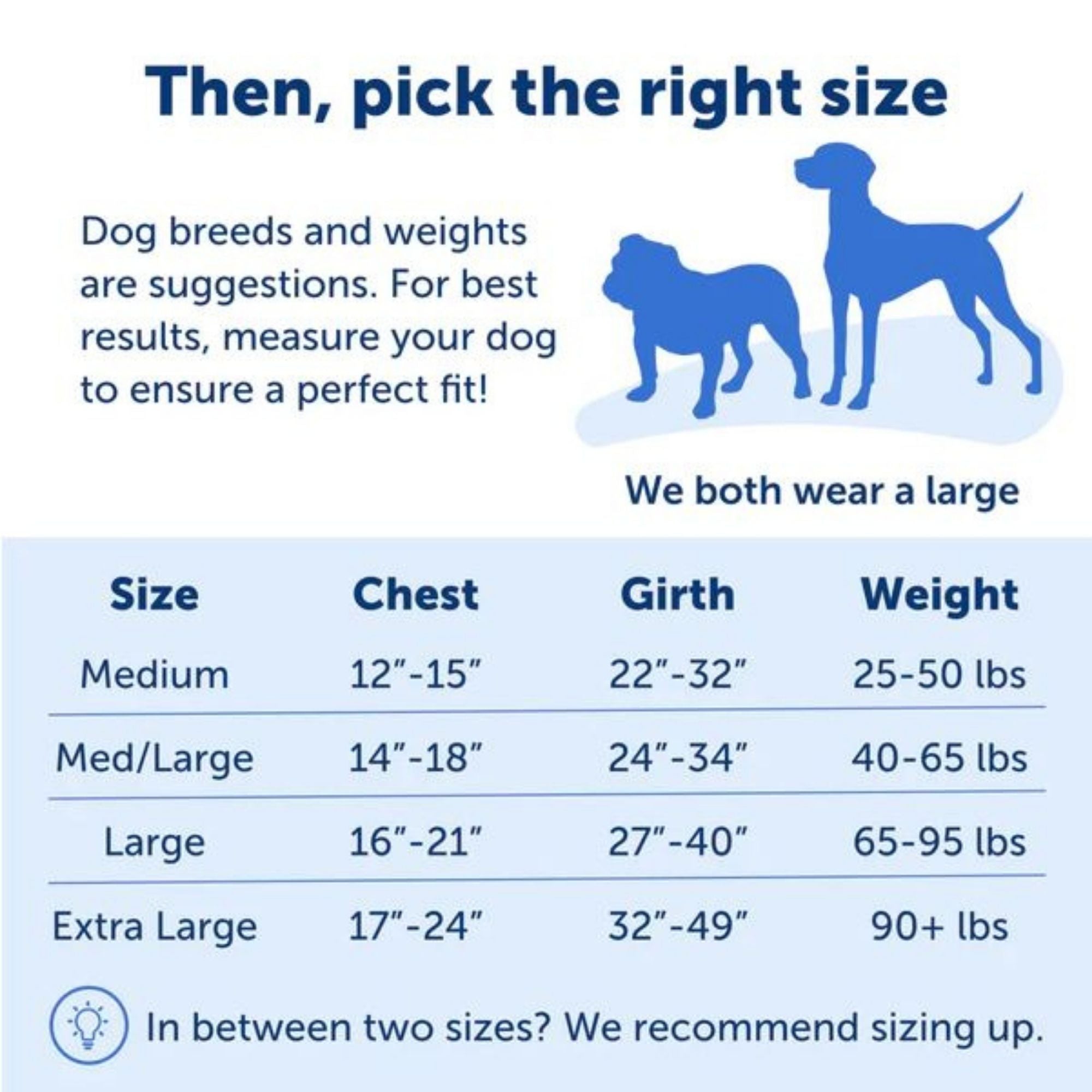 Petsafe Dog Easy Walk Harness Black Large