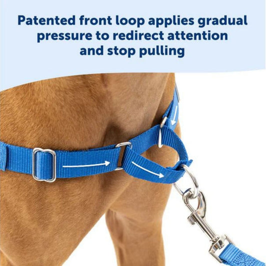 Petsafe Dog Easy Walk Harness Red Medium / Large