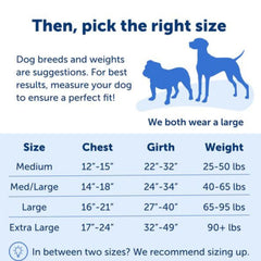 Petsafe Dog Easy Walk Harness Black Medium / Large