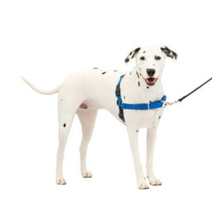 Petsafe Dog Easy Walk Harness Blue Medium / Large