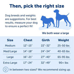 Petsafe Dog Easy Walk Harness Blue Medium / Large