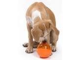 OurPets IQ Treat Ball Slow Feed Dog Toy Assorted Large 4 in