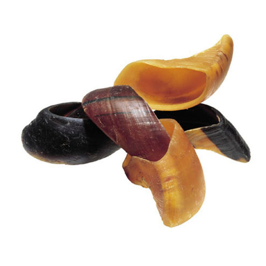 Redbarn Pet Products Cow Hooves Dog Chews 75ea/4 in, 75 ct