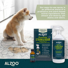 Concentrated Stain & Odor Remover Kit, 32oz; 1.1oz