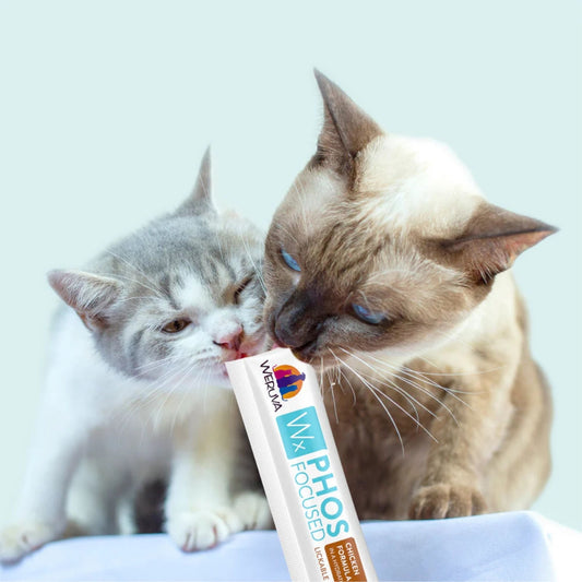 Weruva Cat Wx Lickable Treat Chicken & Tilapia Formula - (Pack of 5)