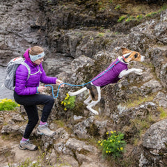 Kurgo Dog Loft Jacket Violet XLarge