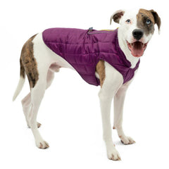 Kurgo Dog Loft Jacket Violet XSmall