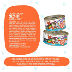 BFF Cat Omg Gravy Crazy 4 U Chicken & Salmon 2.8oz. - (Case of 12)