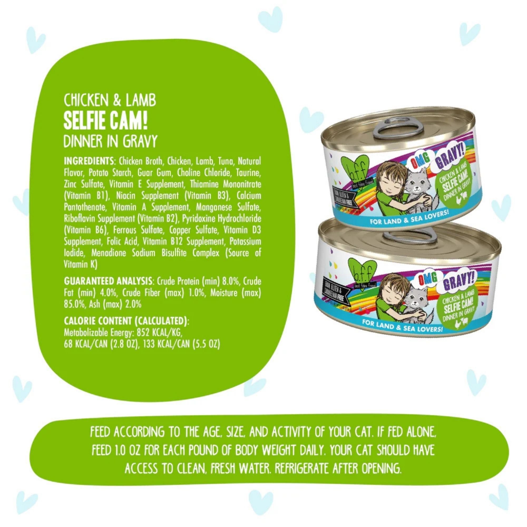 BFF Cat Omg Gravy Selfie Cam Chicken & Lamb 5.5oz. - (Case of 8)