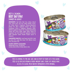 BFF Cat Omg Gravy Best Day Eva Beef & Salmon 5.5oz. - (Case of 8)