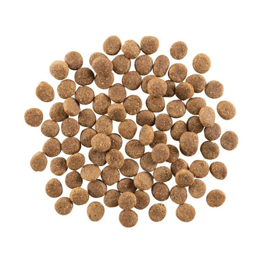 Go! Dog Weight Management + Joint Care Grain Free Chicken 12Lb