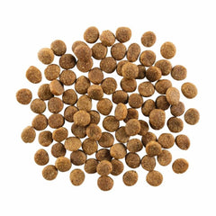 Go! Dog Skin & Coat Care Chicken With Grain 12Lb