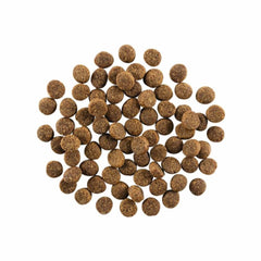 Go! Dog Skin & Coat Care Salmon With Grain 3.5Lb
