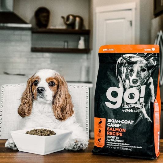 Go! Dog Skin & Coat Care Salmon With Grain 12Lb