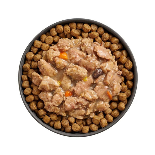 Go! Cat Booster Immune Health Minced Chicken & Salmon 2.5oz. (Case of 24)
