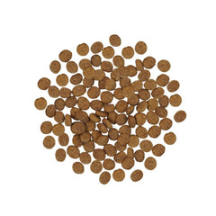Go! Dog Skin & Coat Care Turkey With Grain 3.5Lb