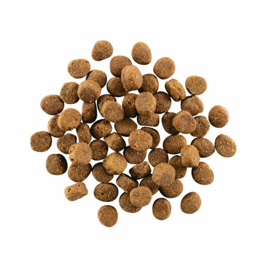 Go! Dog Carnivore Grain Free Salmon & COD 3.5Lb