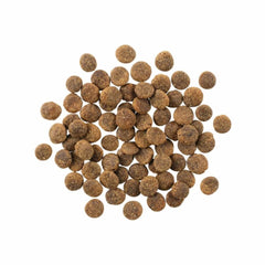 Go! Dog Sensitivities Limited Ingredient Grain Free Lamb 22Lb