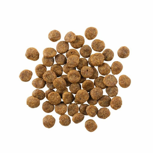 Go! Dog Sensitivities Limited Ingredient Grain Free Salmon 3.5Lb