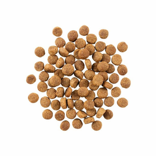 Go! Dog Skin & Coat Care Duck With Grain 3.5Lb