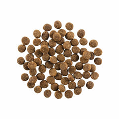 Go! Dog Skin & Coat Care Salmon With Grain 22Lb
