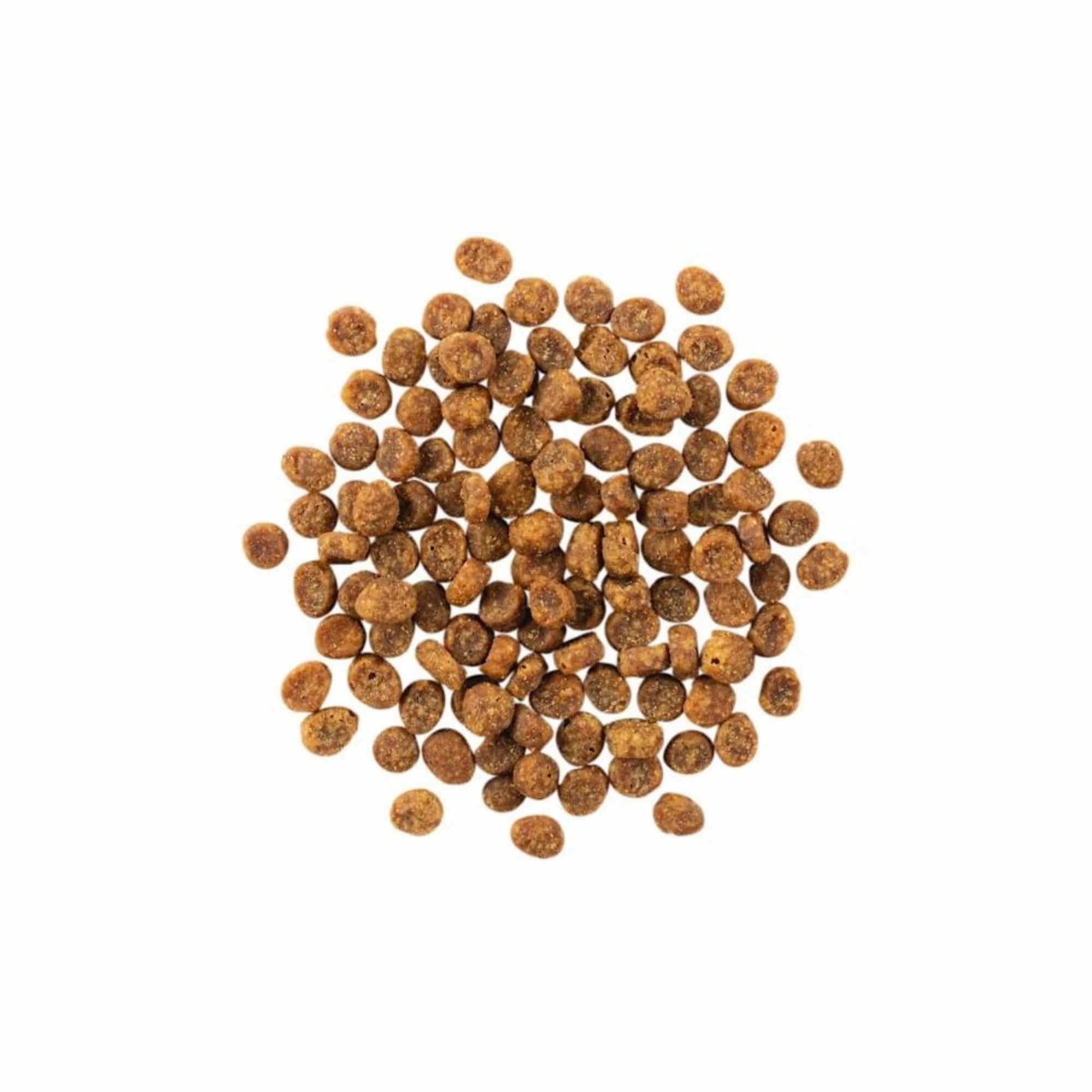 Go! Cat Sensitivities Limited Ingredient Grain Free Salmon 6Lb