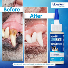 bluestem No Brushing Gel Original 2.4 oz