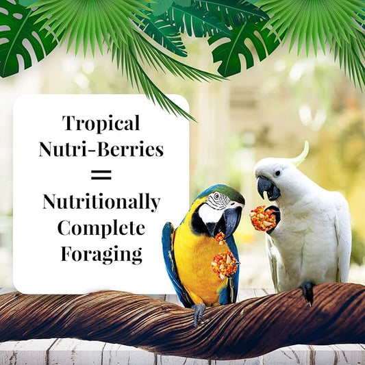 Lafeber Nutri-Berries Tropical Fruit Macaw 3lb