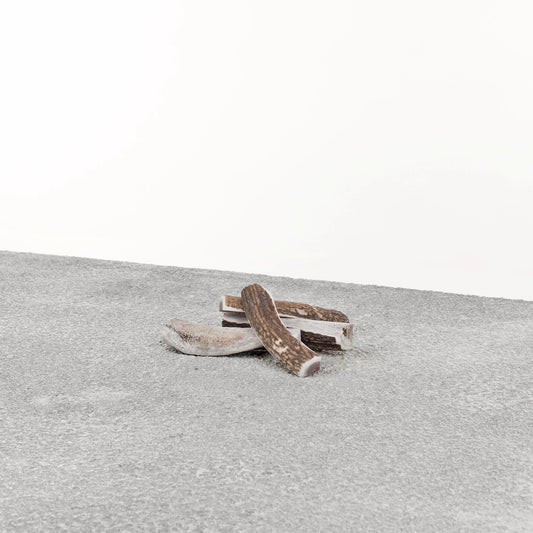 Primal Dog Stag Antler Small Default Title