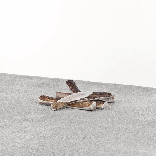 Primal Dog Stag Antler Medium Default Title