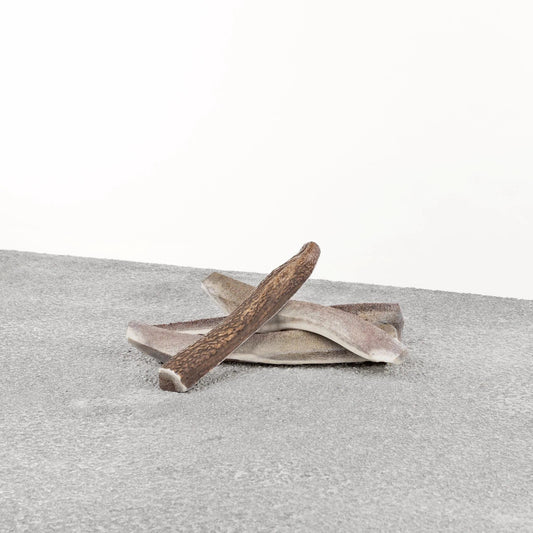 Primal Dog Stag Antler Large Default Title