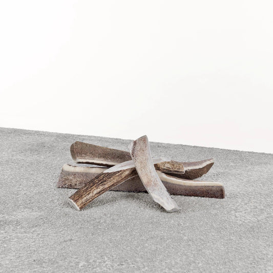 Primal Dog Stag Antler Xl Default Title