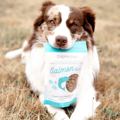 Green Juju Dog & Cat Freeze-Dried Grain Free Whole Food Bite Salmon Blue Toppers 3oz.