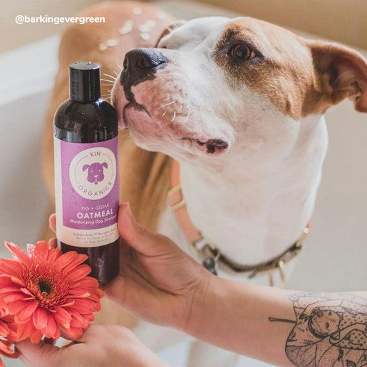 Kin+Kid Coat Oatmeal Fig+Cedar 12oz. Kin Organics Shampoo