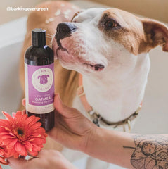 Kin+Kid Coat Oatmeal Fig+Cedar 12oz. Kin Organics Shampoo
