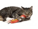 Petstages Green Magic Dynamite Catnip Toy Red One Size