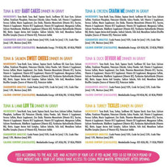 BFF Cat Omg Rainbow Variety Pack 3oz. Pouch (Case of 12)