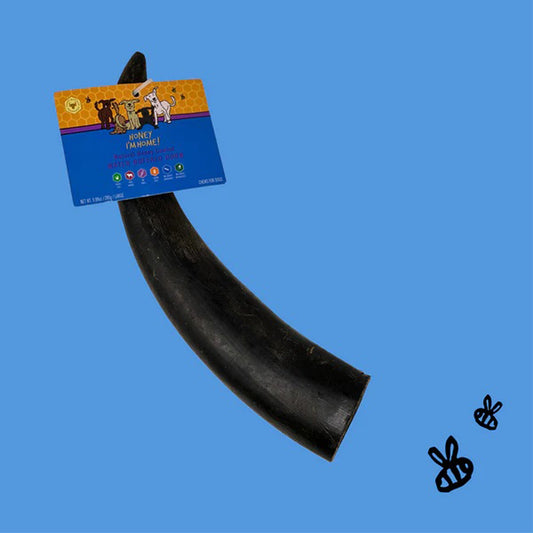 Honey I'm Home Dog Buffalo Horn Large 10 Count Bulk