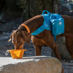 Kurgo Dog Collaps-A-Bowl Orange