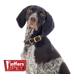 Jeffers Rolled Leather Dog Collar with Brass Hardware, Chestnut Brown - Safe Leather Design, Durable Brass Hardware, Adjustable Round Collar for Long Fur Dogs, Pairs with Leash, 5/8"W x 11"L