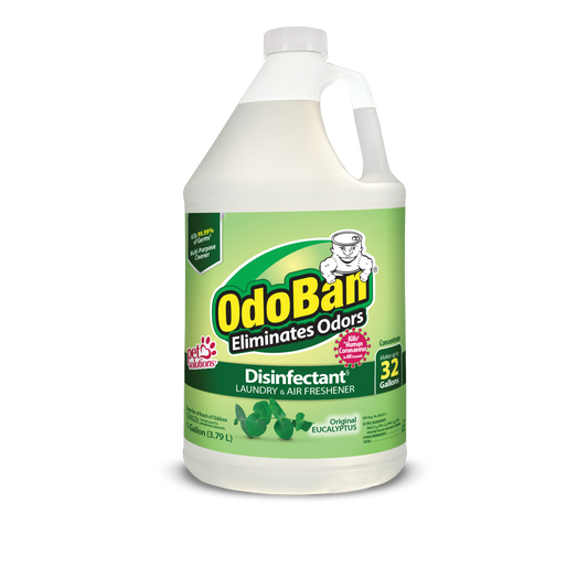 OdoBan Disinfectant Concentrate Eucalyptus 1 Gallon